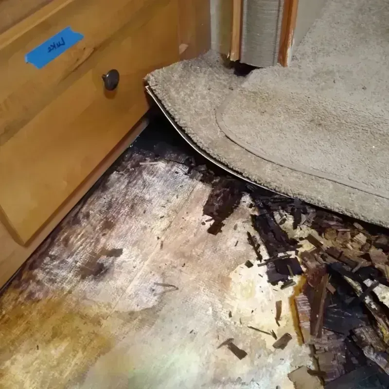 Wood Floor Water Damage in Minnetrista, MN